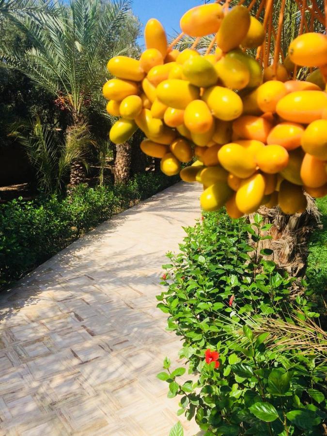 Riad Le Jasmin Taroudant Exterior foto