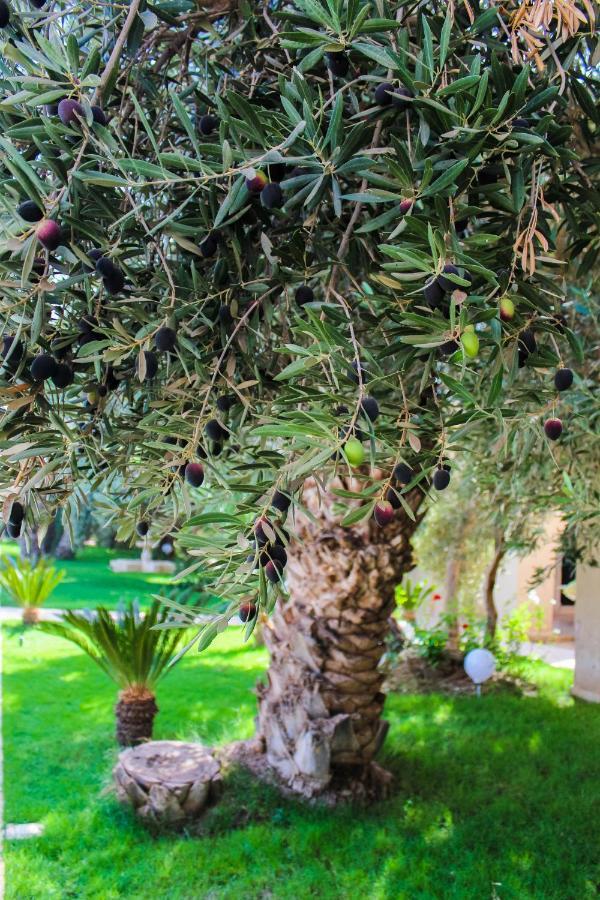 Riad Le Jasmin Taroudant Exterior foto