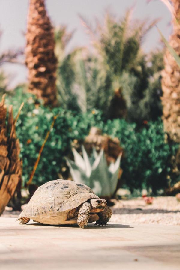 Riad Le Jasmin Taroudant Exterior foto