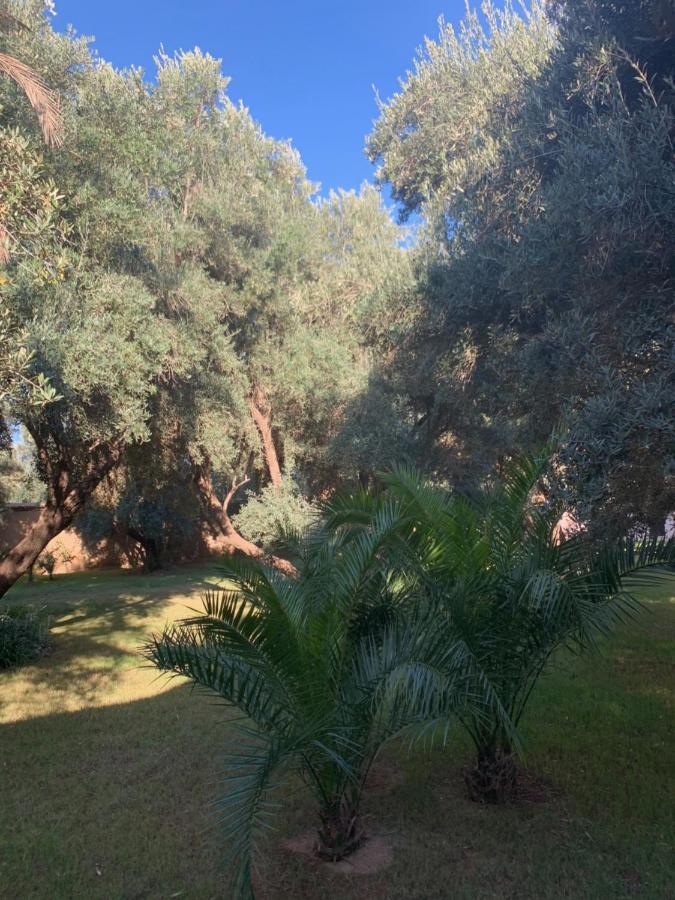 Riad Le Jasmin Taroudant Exterior foto