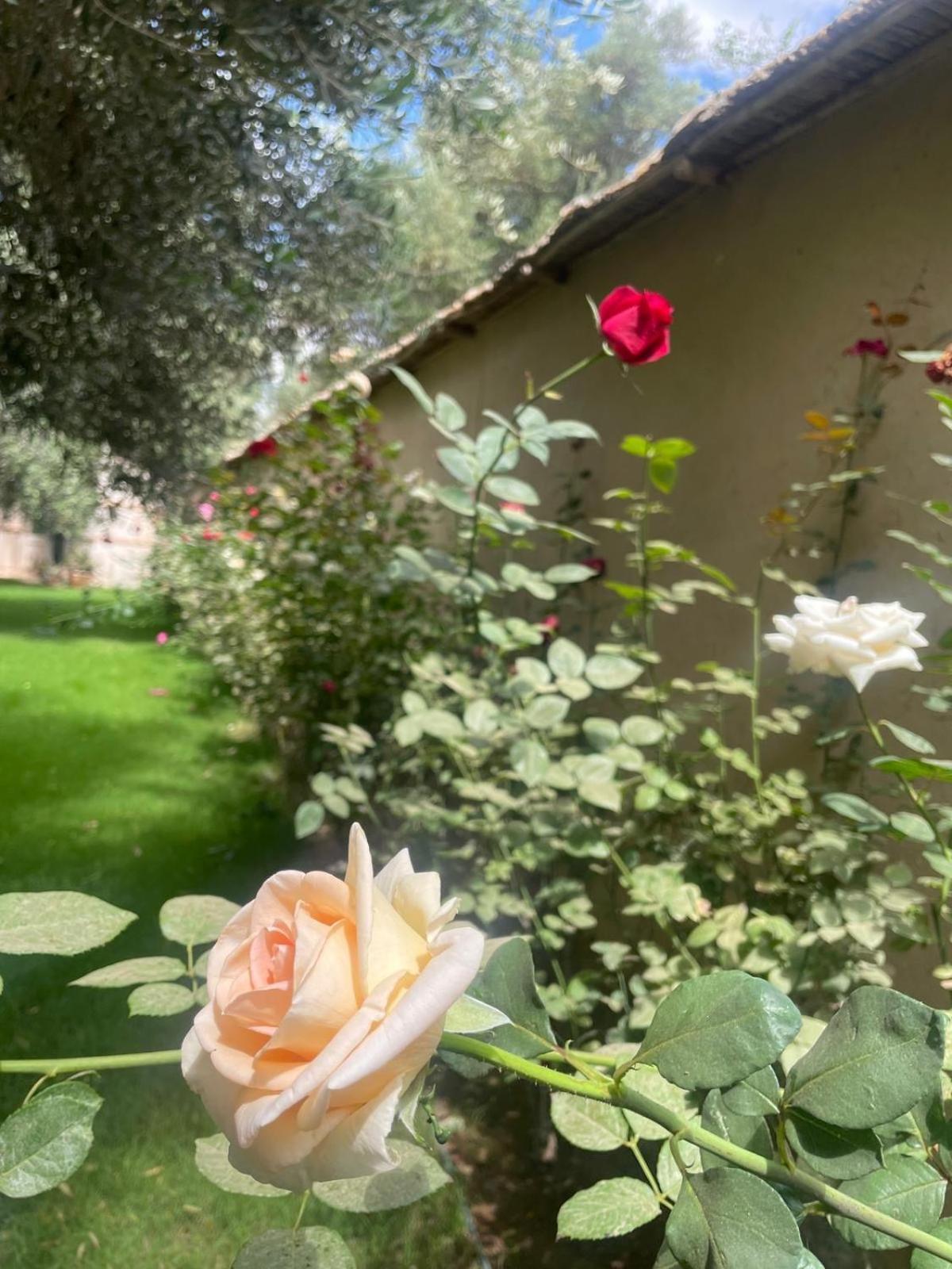 Riad Le Jasmin Taroudant Exterior foto