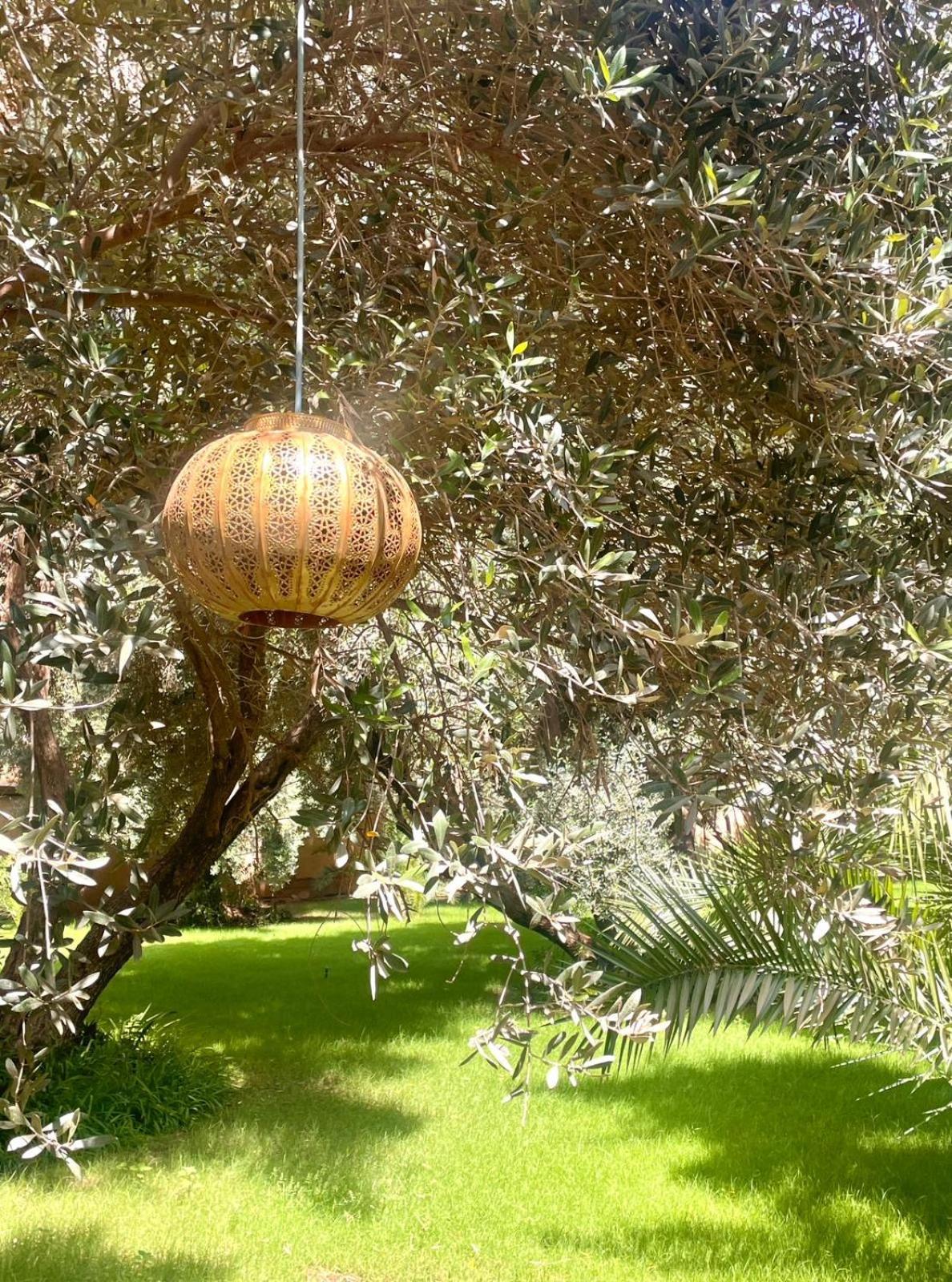 Riad Le Jasmin Taroudant Exterior foto