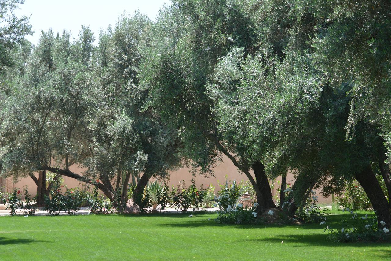 Riad Le Jasmin Taroudant Exterior foto